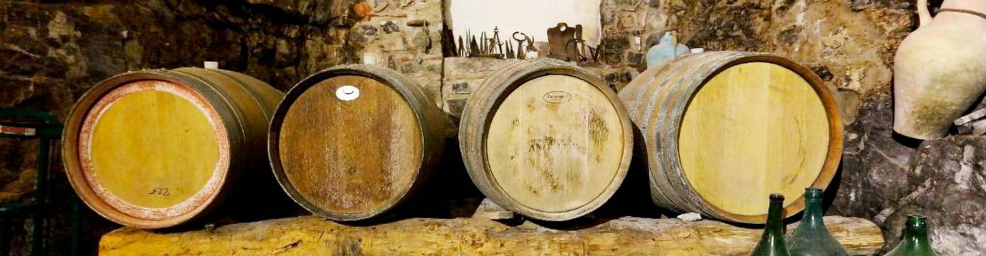 Wine Tour & Mozzarella Class