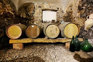 wine tour mozzarella cooking class 01